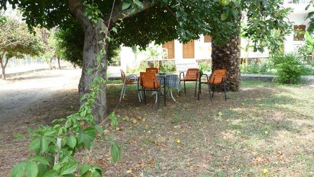 Apartament Alexandra