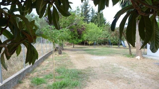Apartament Alexandra *